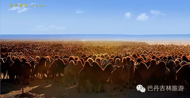 1.webp.jpg